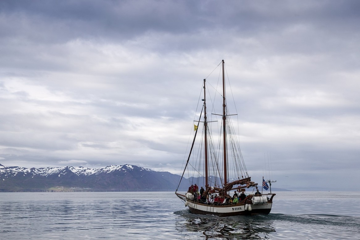 Islandci so za opazovanje kitov obnovili veliko starejsih ladij in ponujajo ekskurzije, ki trajajo lahko nekaj ur ali nekaj dni. Mesto Husavik na severni obali otoka je eno glavnih izhodisc za opazovalce kitov na otoku.