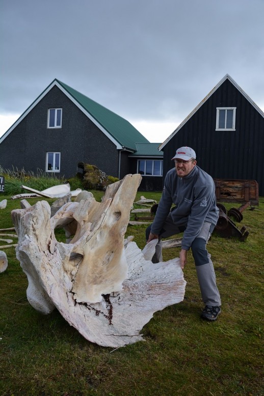 Islandija je dezela ribicev in kitolovcev. To nenazadnje dokazujejo stevilna okostja kitov, ki lezijo kar sredi ribiskih vasi, kakrsna je naprimer Hellissandur.