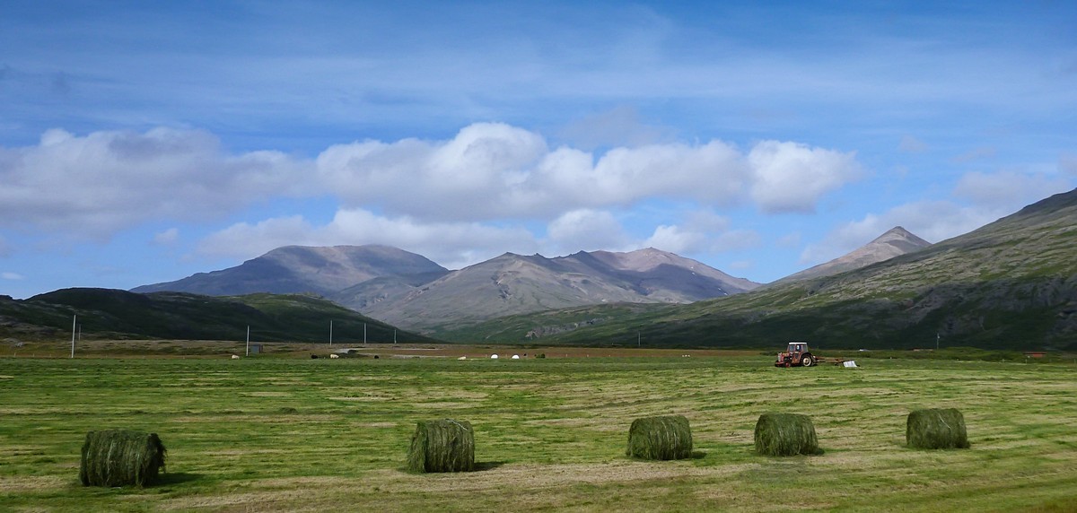 Na travnikih jugozahodne Islandije tudi balirajo seno.