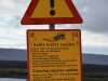 Podrobna navodila za preckanje reke brez mostu. Takih tabel je centralna Islandija polna, kljub temu pa se marsikateri avto zatakne sredi vode.