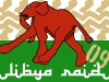libija-2009-0000-sobi.jpg