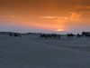 Karavana kamel ob soncnem zahodu pri Douzu.