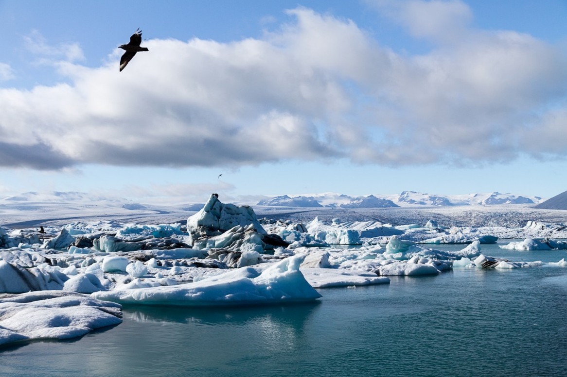 Plavajoce ledene gore lagune Jokulsarlon so crne od pogostih ognjemetov, ki jih na njih prirejajo domacini za turiste. Take crne in zalostne nato pod mostom odplujejo umret v morje.