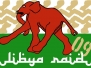 Libya raid 2009