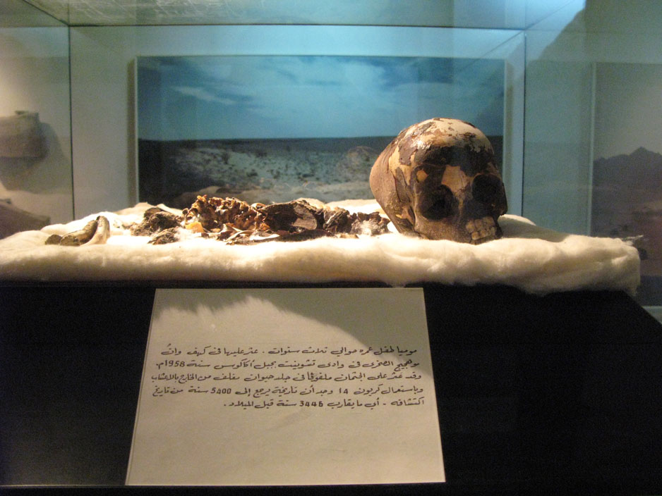 Eni smo stikali za kosi toyot, drugi pa so se odpravili v Tripoli in to celo v muzej, kjer so obcudovali tudi bolj morbidne primerke. Foto Irena